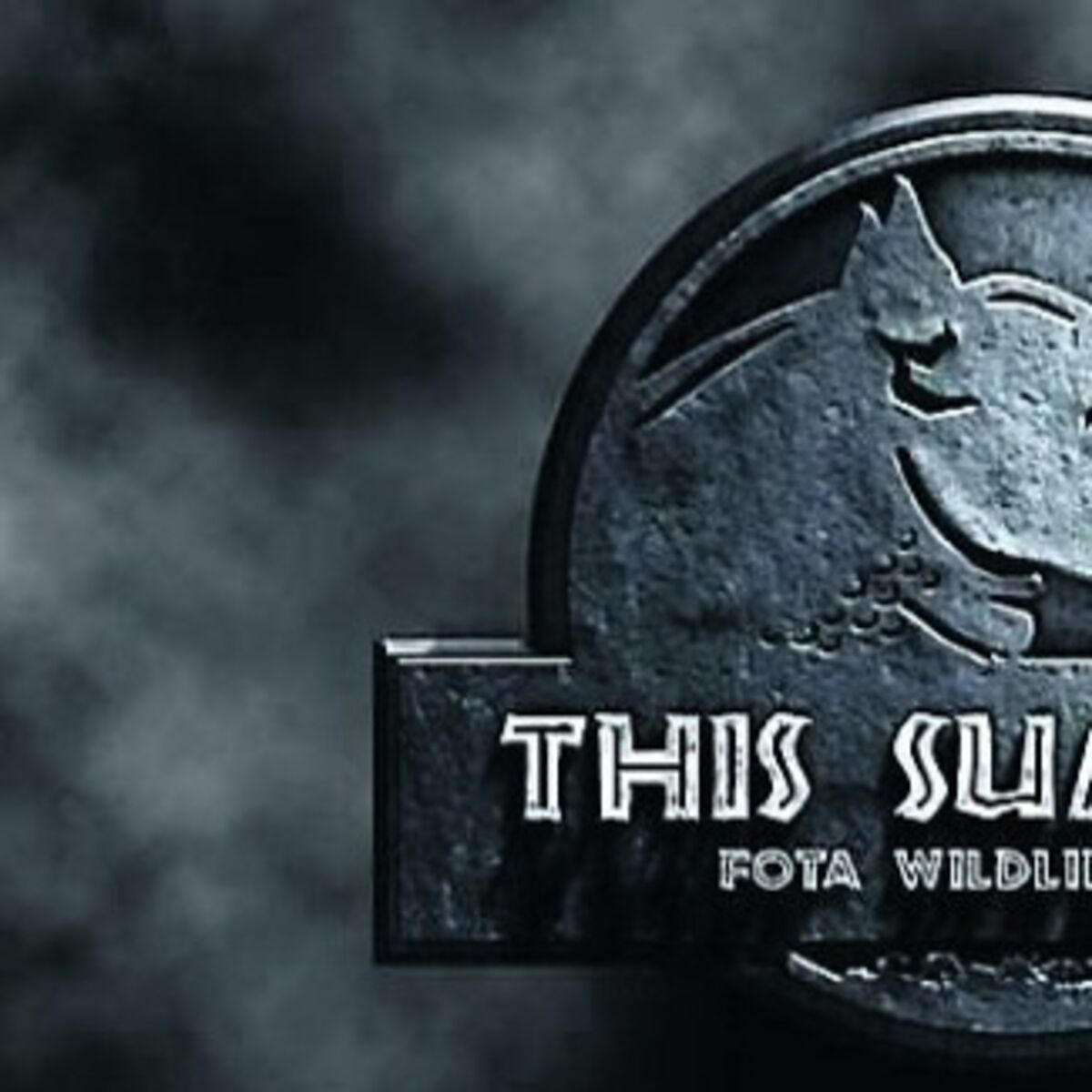 Two-tonne Indian rhinos to make their Fota debut