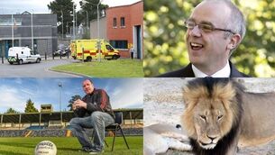 Your Thursday morning news round-up