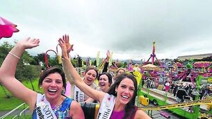 Science, dung-spitting, and Michael Collins artifacts: It can only be the Rose of Tralee