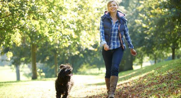 Brisk daily walk can add seven years to lifespan