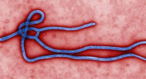 Risk of disease spreading &lsquo;very low&rsquo;