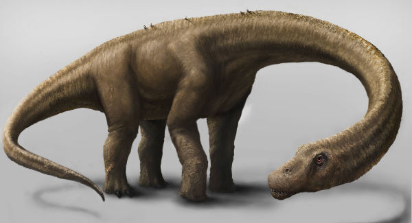 Sixth mass extinction &lsquo;already triggered&rsquo;