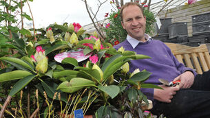 VIDEO: The garden is the perfect place to unwind
