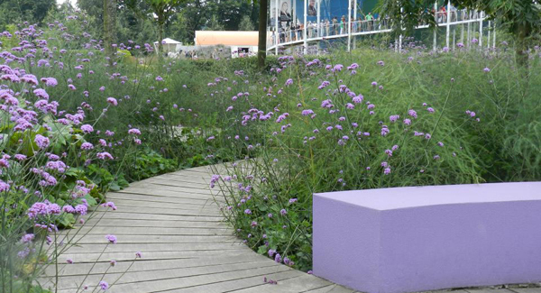 Verbenas are a rich source of nectar for honey bees and butterflies