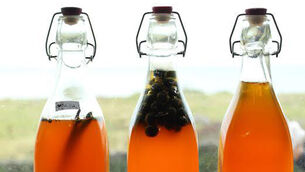 Kombucha and Kefir, two probiotic drinks that are easy to make at home