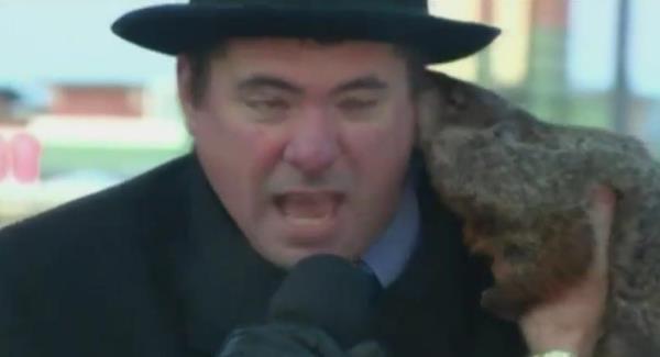 Groundhog bites mayor in the middle of interview