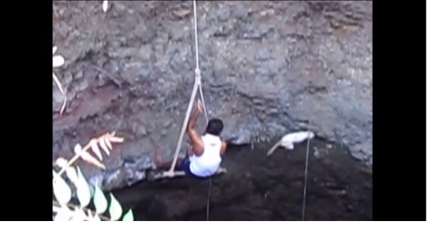 WATCH: Volunteers rescue cat from deep open well in India.