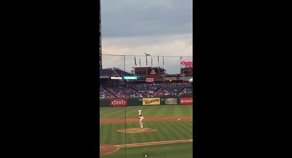 VIDEO: Squirrel steals the show at baseball game