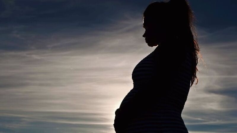 Surrogacy is not a red herring in this debate Surrogacy is not a red herring in this debate