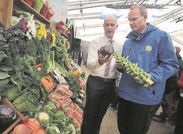 Simon Coveney examines Tesco’s Brussel sprouts with the retailer’s fresh category director, Malachy O’Connor.