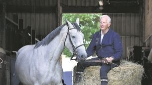 Yes we Aga Khan: Ireland's horses and riders are ready for Rio