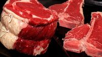 Another step on road to recovery: US beef market reopened