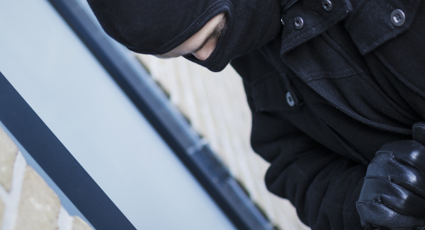 Little enough sympathy - Fighting crime in rural areas