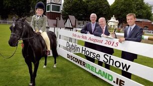 Hardy breed - Dublin Horse Show