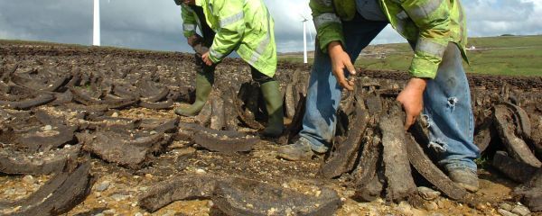 Bog restoration - Changing times on the bogs