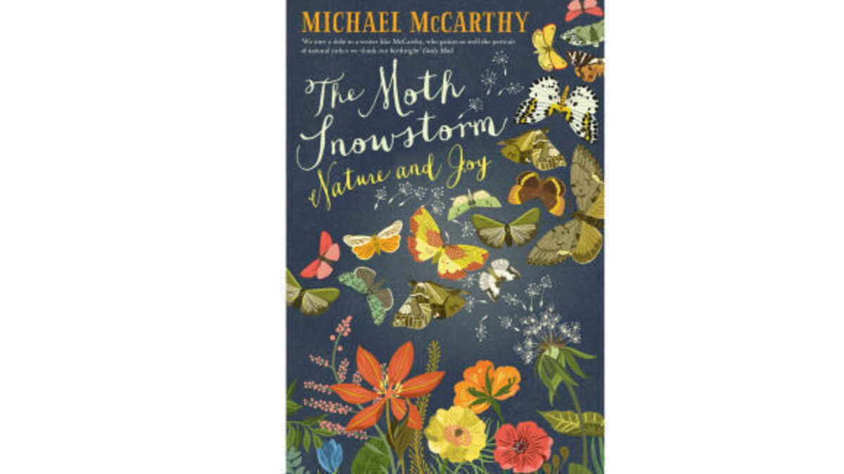 Book Review The Moth Snowstorm Nature and Joy