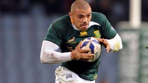 Racial tensions sour Springbok preparations as trade union enters debate
