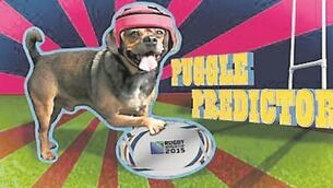 Rugby World Cup Diary