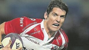 Wales putting discipline first, declares Howley