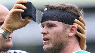 Gordon D’Arcy has no regrets over World Cup squad omission