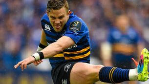 Proud in defeat but Leinster fans fear for the future