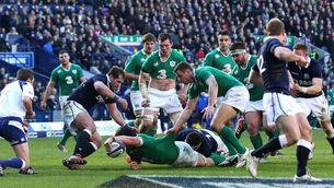 Joe Schmidt: We have to be better again for World Cup