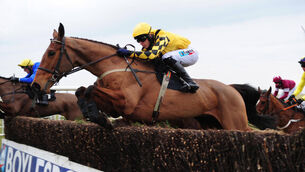 Better ground brings out best in Our Katie