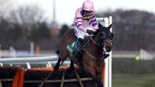 Zarkandar seeking World Hurdle domination