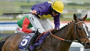 Lord Windermere among Grand National entries