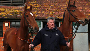 Silviniaco Conti the one to beat, insists Paul Nicholls