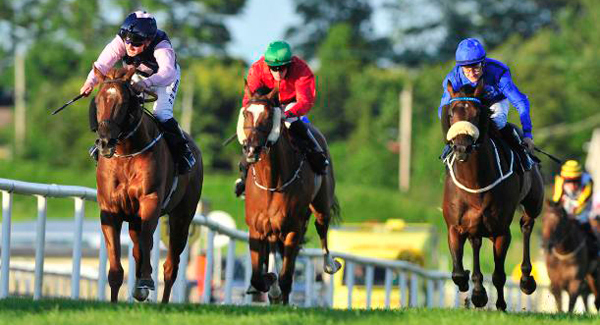George in St Leger picture