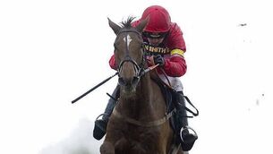 Nicholls pair poised to step up Gold Cup preparations