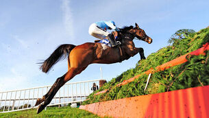 Walsh thrilled with Sceaux spin