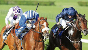 Simple Verse gets Leger crown