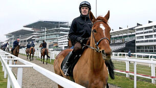 Willie Mullins confident Annie Power will deliver in OLBG Mares&rsquo; Hurdle