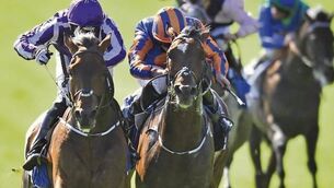 Diamondsandrubies sparkles in Polly win