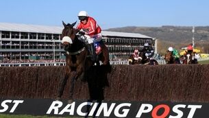 Druids Nephew enhances National claims