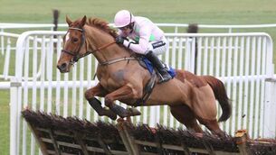 Rich Ricci: Annie Power is my best chance of a winner