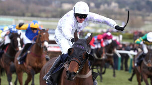 Tommy Lyons: Holywell can have Jonjo O&rsquo;Neill jumping for joy