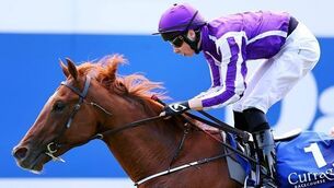 Joseph O&rsquo;Brien set on returning to Flat