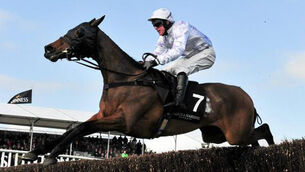 Gold Cup fourth Holywell on course to run at Aintree