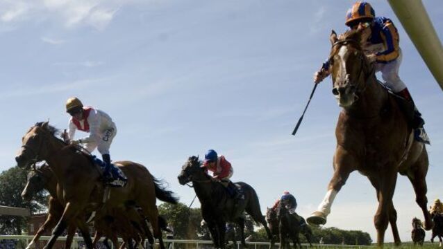 Treve bouncing after Corrida comeback romp