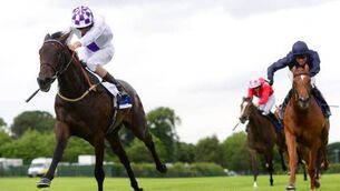 Godolphin snap up Pleascach