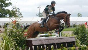 Numbers tell the story at Millstreet