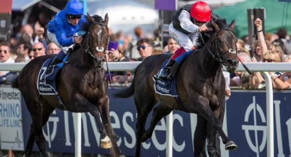 Gleneagles set to clash with Golden Horn in Juddmonte
