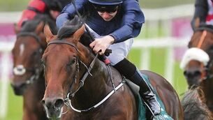 Air Force Blue new Guineas favourite