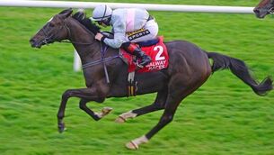 Clondaw Warrior has plenty to offer in Ascot Stakes
