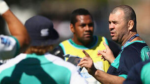 Wallabies see writing on the wall, so they adapt to try and change it
