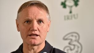Joe Schmidt and stimulation can drive Ireland to be world class