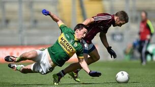 Tommy Walsh will add professional insight in Kerry, says Murphy